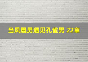 当凤凰男遇见孔雀男 22章